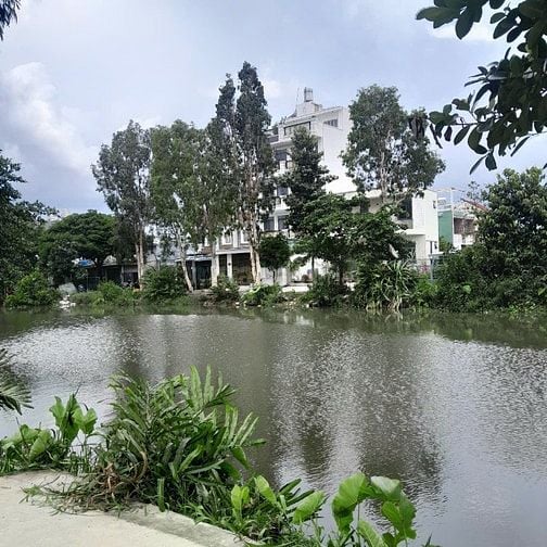 Đất mặt tiền kinh ngay trường học tô ngọc vân - Đường hà huy giáp, q12