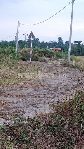 Bán gấp đất tại xã Bầu Chinh-Châu Đức-BRVT. DT:6262,3m2, Giá:700k/m2