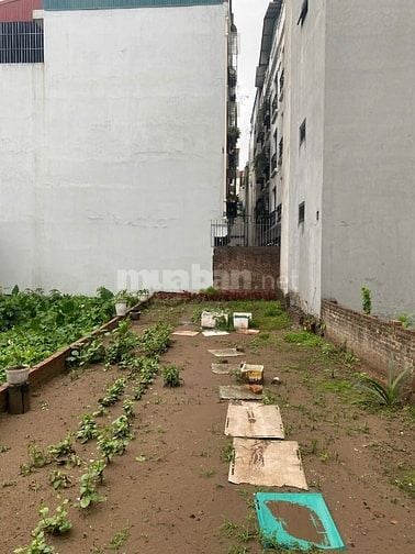 Chính chủ bán đất full thổ cư tại Ngọc Thụy, Long Biên, Hà Nội (tổ 19)