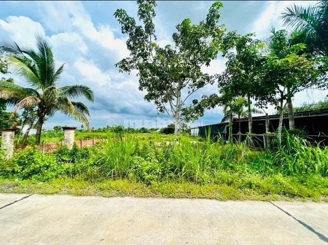 ĐẤT PHƯỚC THẠNH HƠN 2000m2 TC MT ĐƯỜNG BÊ TÔNG CHỈ 1tỷ300 