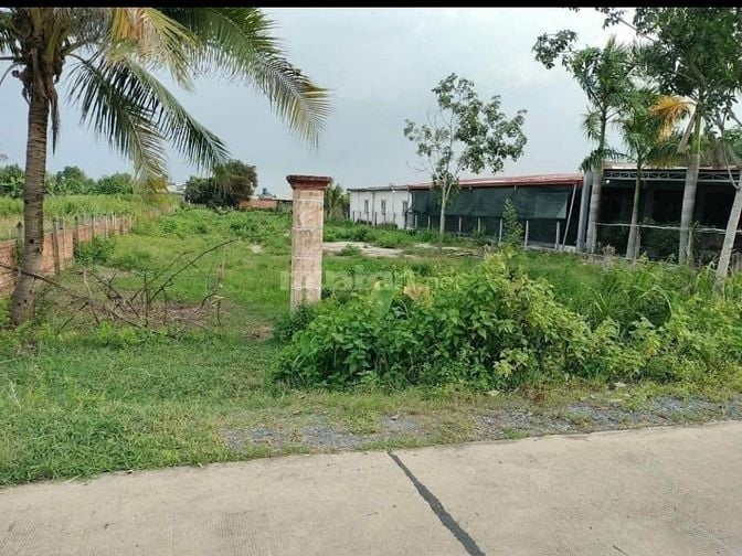 ĐẤT PHƯỚC THẠNH HƠN 2000m2 TC MT ĐƯỜNG BÊ TÔNG CHỈ 1tỷ300 