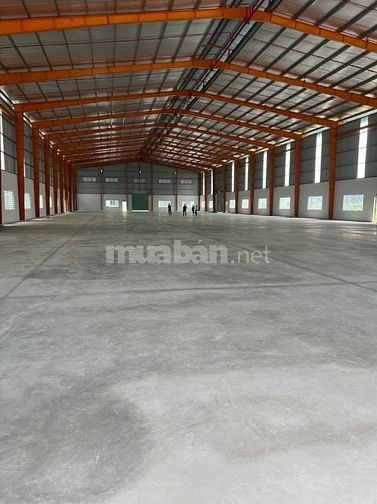 Cho thuê kho xưởng trong và ngoài KCN Hạnh Phúc, KCN Hải Sơn 2500m2