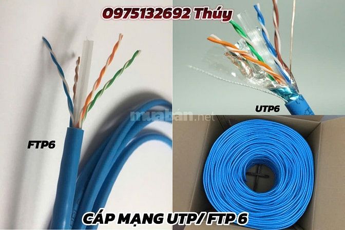 Cáp mạng UTP Cat5e, UTP Cat6 