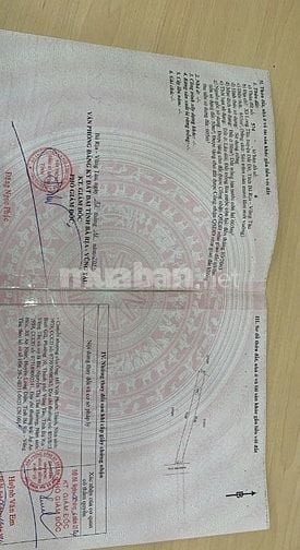BÁN ĐẤT CHÍNH CHỦ TẠI XÃ LONG TÂN, HUYỆN ĐẤT ĐỎ, BÀ RỊA - VŨNG TÀU  