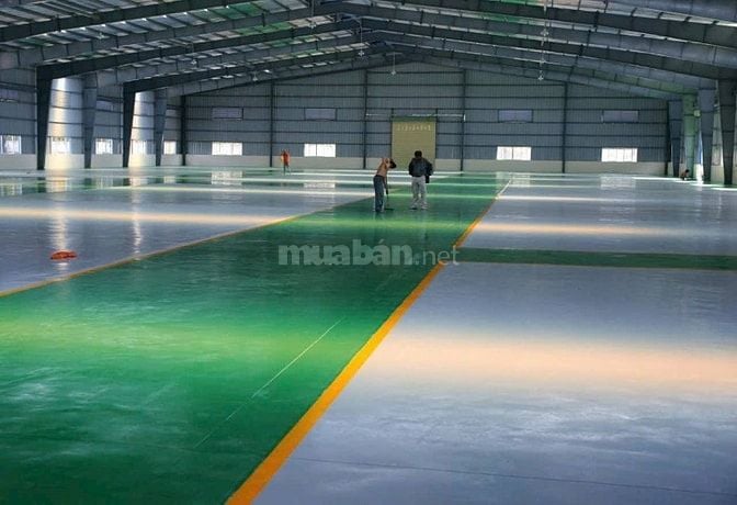 Cho thuê nhà xưởng mới đẹp,KCN Bến Lức, Long An,KV: 8.000m2,X: 5.600m2