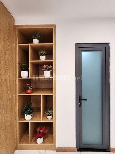 TÒA CHDV 5TẦNG /Thu nhập khủng /Giá :21tỷ5