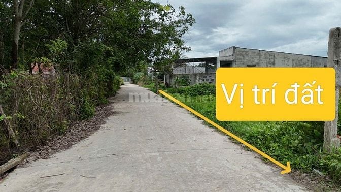 5x50 full thổ, đường bê tông. 580tr