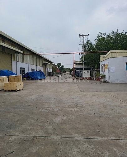 Cho thuê xưởng 2500m2, 3200m2,15.000m2. Giá: 55k/m2 Biên Hòa Đồng Nai