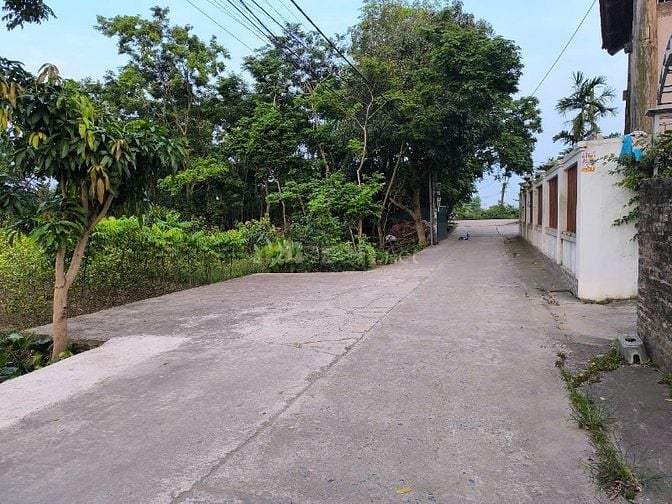 1 LÔ ĐẦU TƯ TÂN CHÂU – KHOÁI CHÂU 650M2 GIÁ 20TR/M2 SÁT DỰ ÁN TRUMP	
