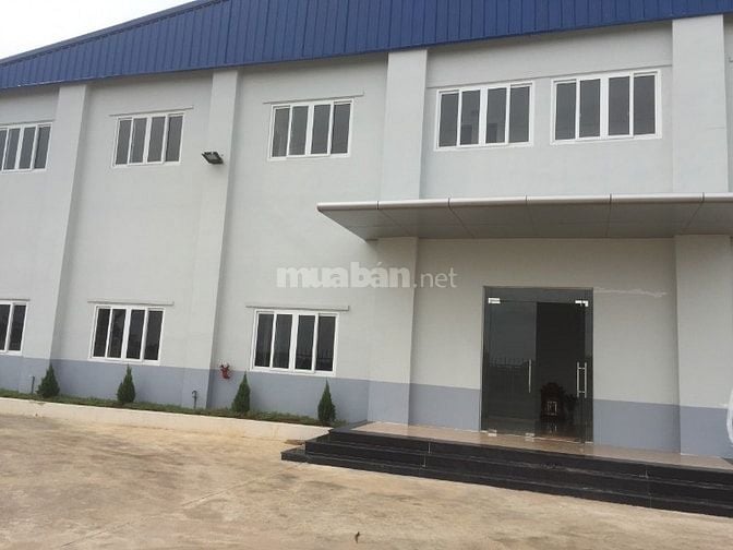 Cho thuê kho xưởng 5.200m2 GIÁ RẺ mặt tiền Phan Văn Hớn, Xuân Thới Sơn