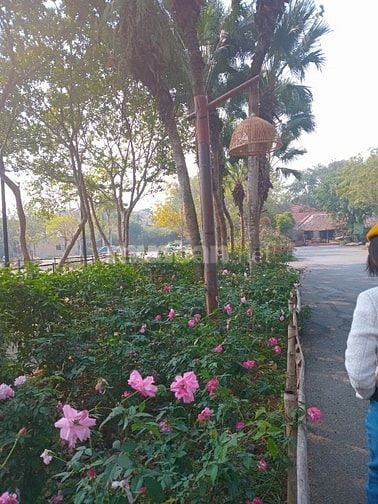 460m đất thôn Phúc Xuân,Xã Bắc Sơn,H Sóc Sơn,gần Hồ Cầu Bãi,oto tránh