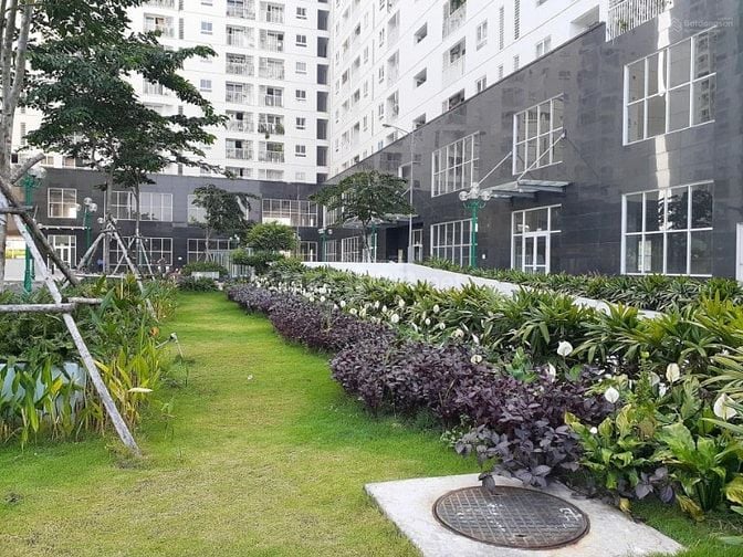 Cần bán căn hộ Tara Residence - MT đường Tạ Quang Bửu 