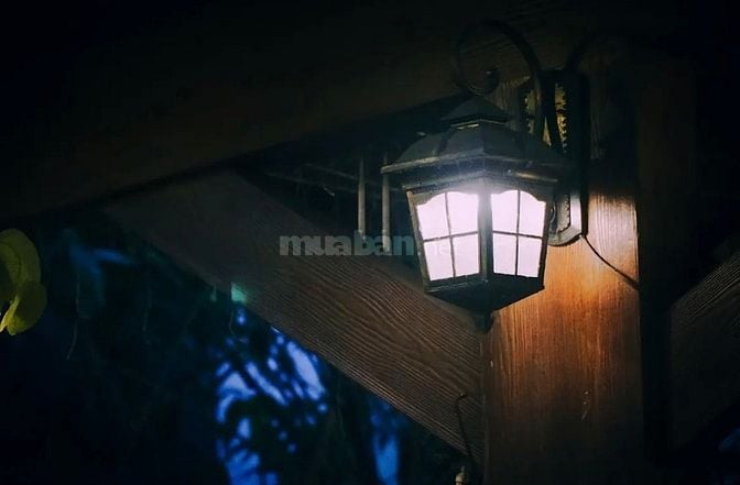 Tuyển dụng việc làm hè cho sinh viên