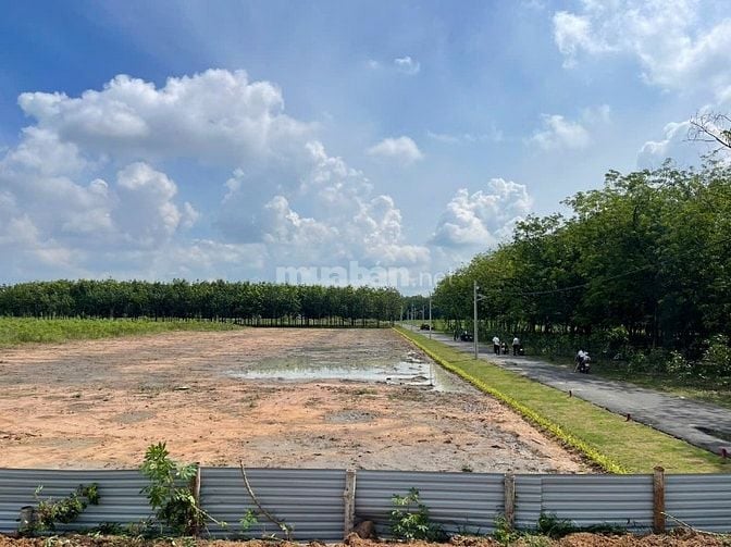 BÁN 10M NGANG ĐẤT THỔ CƯ – NGAY TRUNG TÂM HÀNH CHÍNH CHÁNH PHÚ HÒA BD