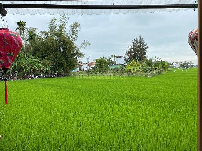 Bán đất 2 lô đôi Cẩm Thanh, Hội An
