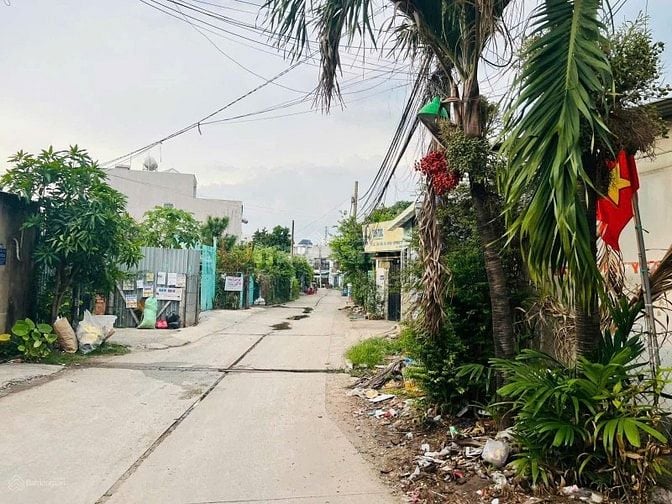 CHÍNH CHỦ BÁN NHÀ + DÃY TRỌ 312m² TẠI TÂN THỚI NHÌ - HÓC MÔN - Giá 1 T