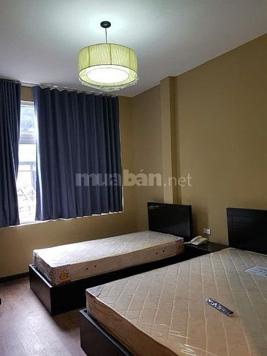 Bán gấp nhà Mặt Tiền Bùi Viện Ngay Gốc Đề Thám , Quận 1, HCM