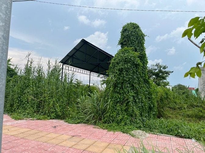 Chính chủ cần bán lô đất 913m2 đường Bờ Kinh, TP Vĩnh Long.