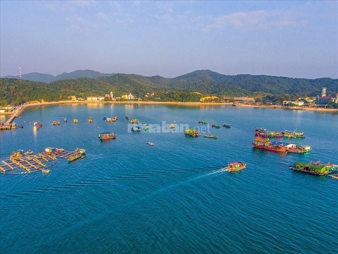 CƠ HỘI CUỐI CÙNG SỞ HỮU LÔ ĐẤT ĐẸP TẠI CÔ TÔ - GIÁ CHỈ TỪ 1 TRIỆU/M²