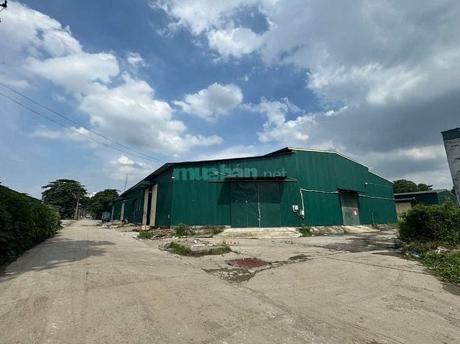 Cho thuê kho 500m² Hoàng Tăng Bí, xe container vào tận cửa