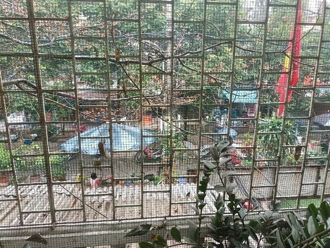 Chủ Nhà Cần Bán Gấp Căn hộ TẬP THỂ TẦNG 2 VĨNH HỒ - TRUNG TÂM ĐỐNG ĐA