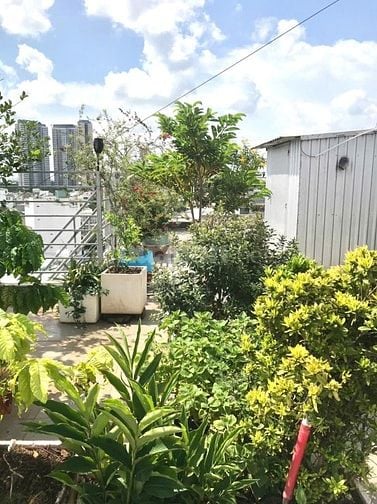 BÁN CHDV ĐƯỜNG SỐ 6 - THU NHẬP GẦN 200TR/THÁNG - 4 TẦNG - THANG MÁY.