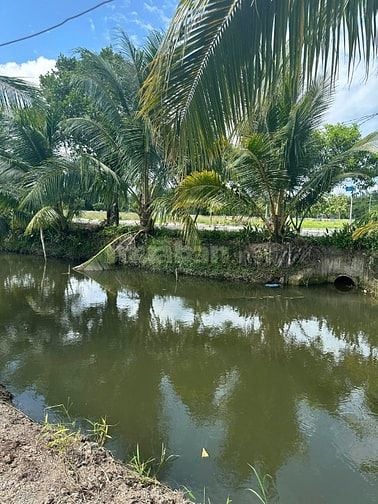Đất Hữu Thạnh Gía rẻ thích hợp xây nhà xây nhà trọ 