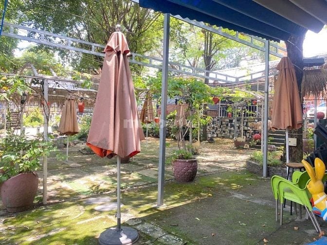 Bán đất 407m2 cho thuê cafe sân vườn 6tr/tháng ở Gò Dầu giá 680 triệu