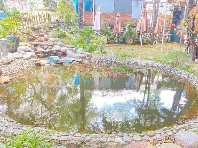 Bán đất 407m2 cho thuê cafe sân vườn 6tr/tháng ở Gò Dầu giá 680 triệu