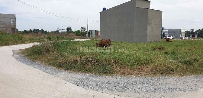 Chính chủ bán đất 100m2 giá 1,7 tỷ Long Cang, Cần Đước