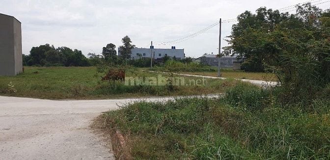 Chính chủ bán đất 100m2 giá 1,7 tỷ Long Cang, Cần Đước