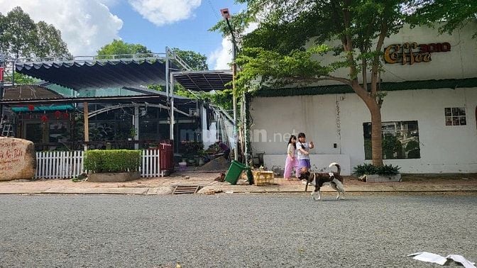 Cho Thuê Nhà Mặt Tiền Đường Số  4, KDC Chánh Nghĩa, Thủ Dầu Một BD