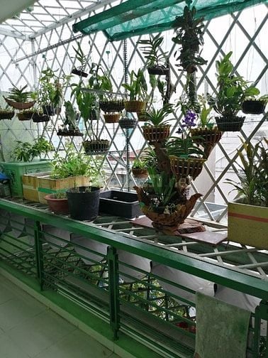 Bán nhà hẻm 493 thông 6m Lê Đức Thọ, P16, Gò vấp 5m x 14.9m, Đông Nam