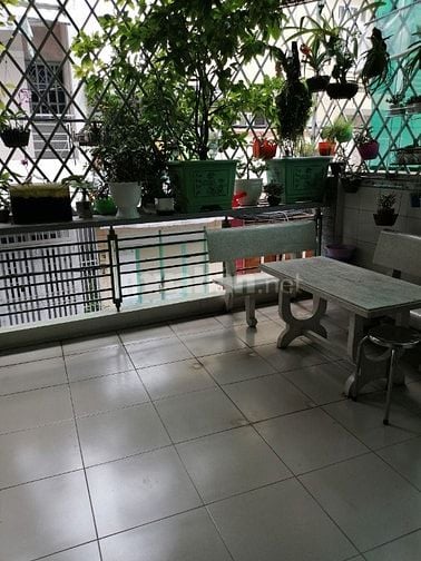 Bán nhà hẻm 493 thông 6m Lê Đức Thọ, P16, Gò vấp 5m x 14.9m, Đông Nam