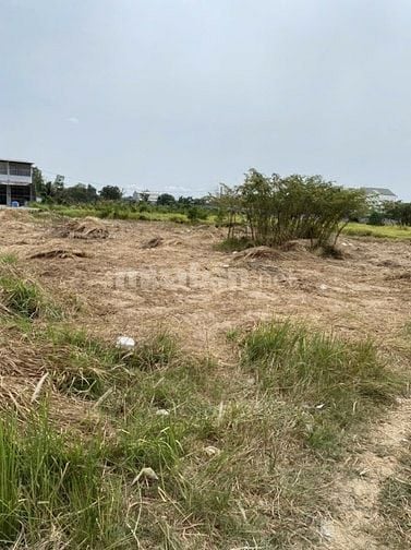Bán đất đẹp 1906m2, 92 tỷ tại Mai Bá Hương, Bình Chánh, HCM
