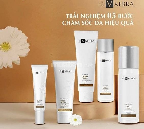 Công Việc Xoay Ca Cho Sinh Viên Dịp Hè