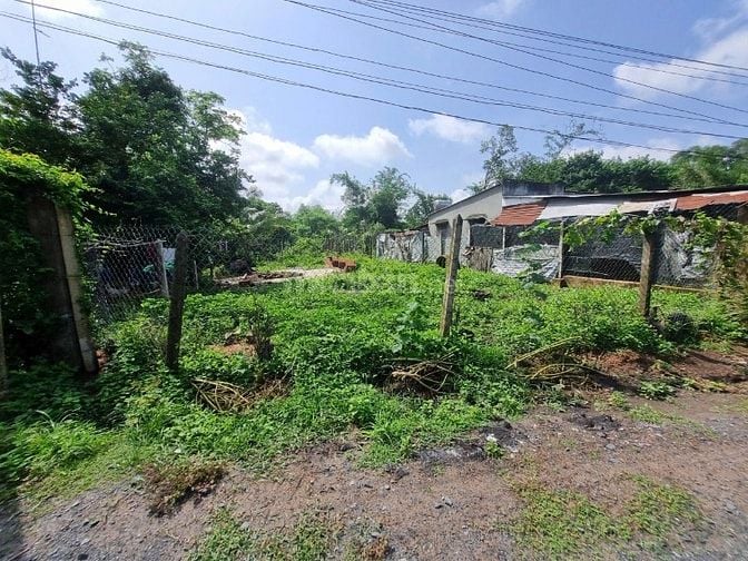 11x47 có 196m2 thổ cư. Gần KCN Hiệp Thạnh. 920tr 