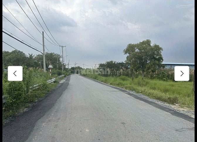Bán đất tại Đường Kinh Rau Răm, Xã Bình Lợi, Bình Chánh, Hồ Chí Minh