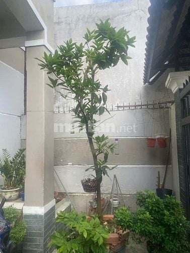 Gần cầu Ông Bốn, DT 5,5x19m, hẻm xe hơi.