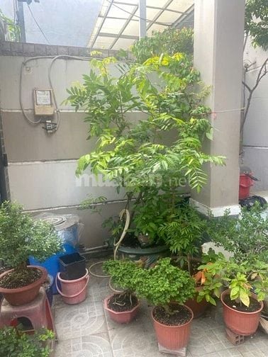Gần cầu Ông Bốn, DT 5,5x19m, hẻm xe hơi.