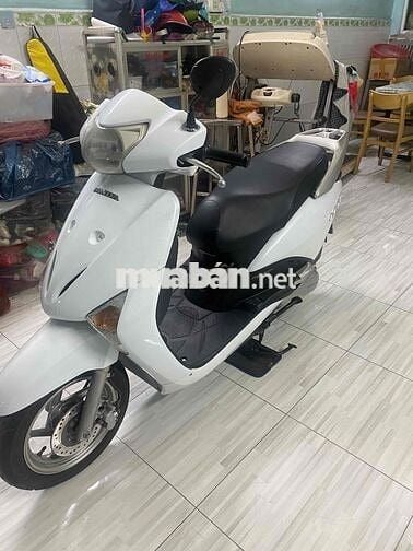 xe Honda Scr mới tinh