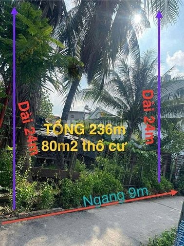 👉🌹🌹GIẢM SỐC 1 TỶ – CHỈ CÒN 3.99 TỶ SỞ HỮU NGAY 240M2 ĐẤT ĐẸP NGAY C