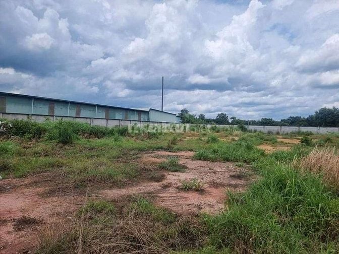 Bán lô đất 3250m2 tại xã Bình lợi Huyện Bình Chánh