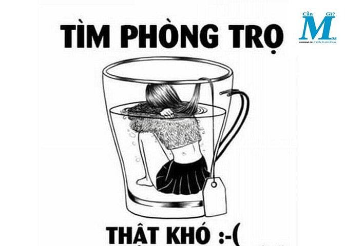Ahihi. Cho thuê phòng đối diện chợ Thành Thái. gần Trung tâm TP Quy Nh