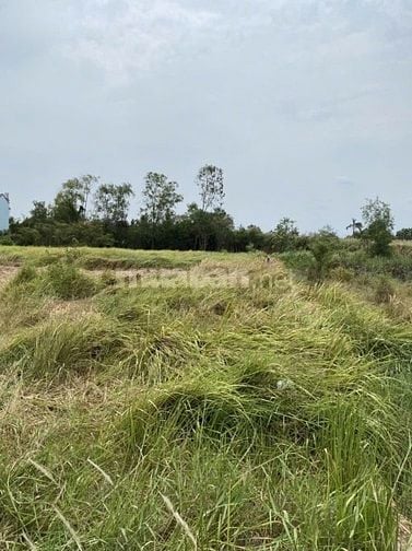 Bán đất tại Xã Bình Lợi, 85 tỷ, 2113 m2, mặt tiền 42m, pháp lý đầy đủ