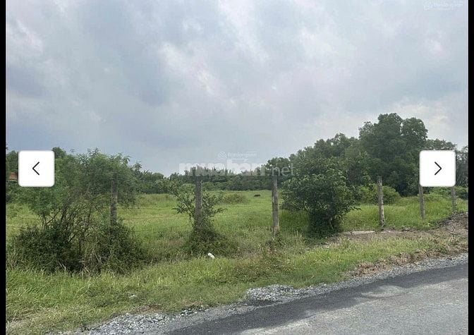 Bán đất tại Xã Bình Lợi, 85 tỷ, 2113 m2, mặt tiền 42m, pháp lý đầy đủ