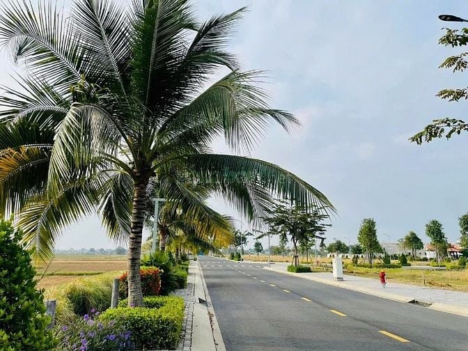 Hiếm có! bán lô đất 5x21 SHR full thổ 100% ngay UB Thanh Phú, Bến Lức