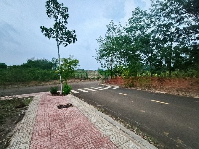 Đất Bình Phước mặt tiền đường xã sát khu dân cư lớn đang khảo sát xây 