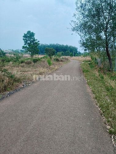 Đất Bình Phước mặt tiền đường xã sát khu dân cư lớn đang khảo sát xây 