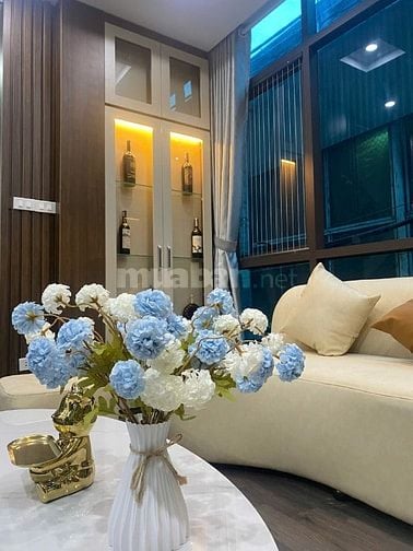30m2  Ô tô vào Xuân Thủy lô góc 2 mặt mt siêu rộng 5.2, đầy đủ nt